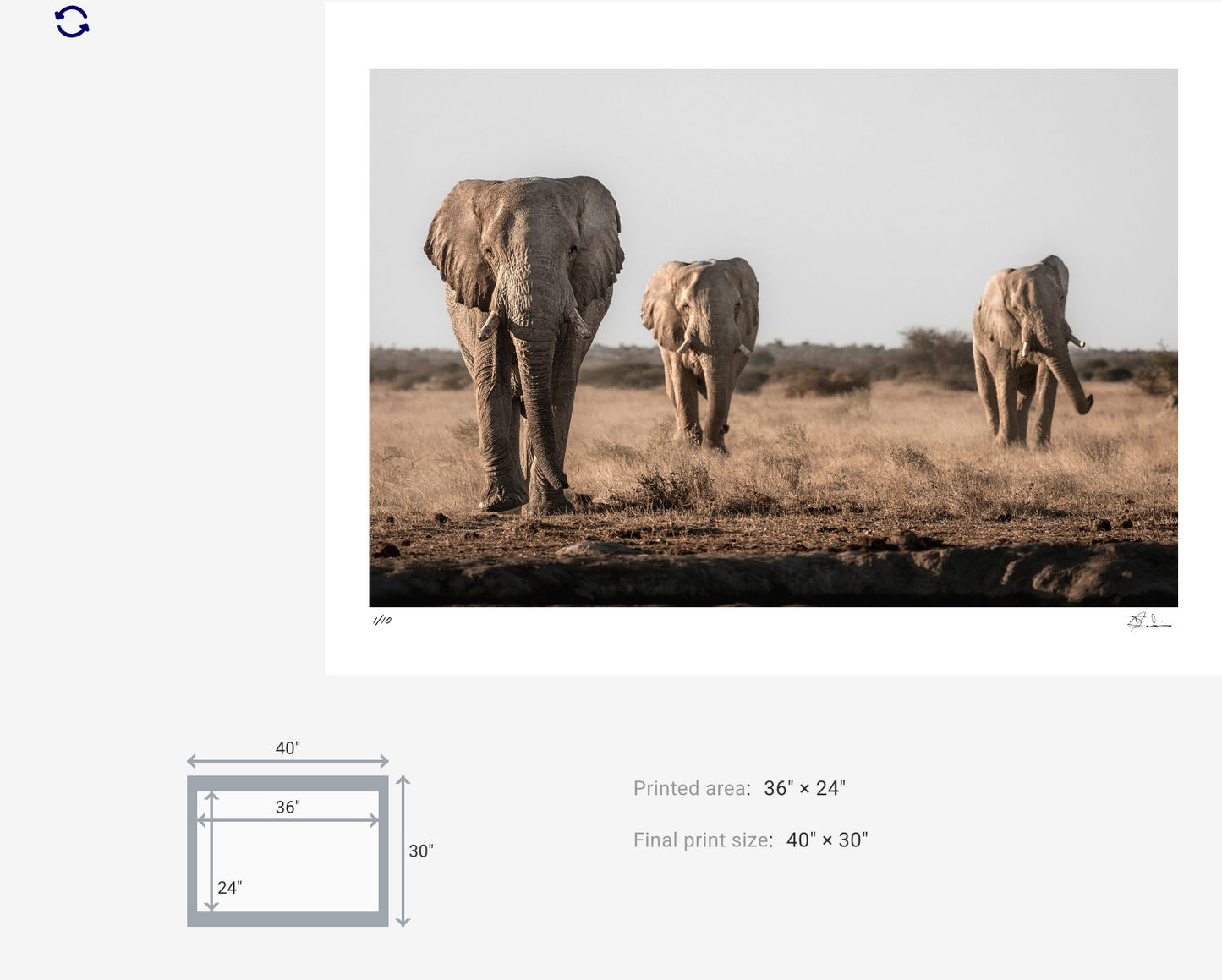 Three Kings — Elephant Fine Art Print | Nxai Pan, Botswana