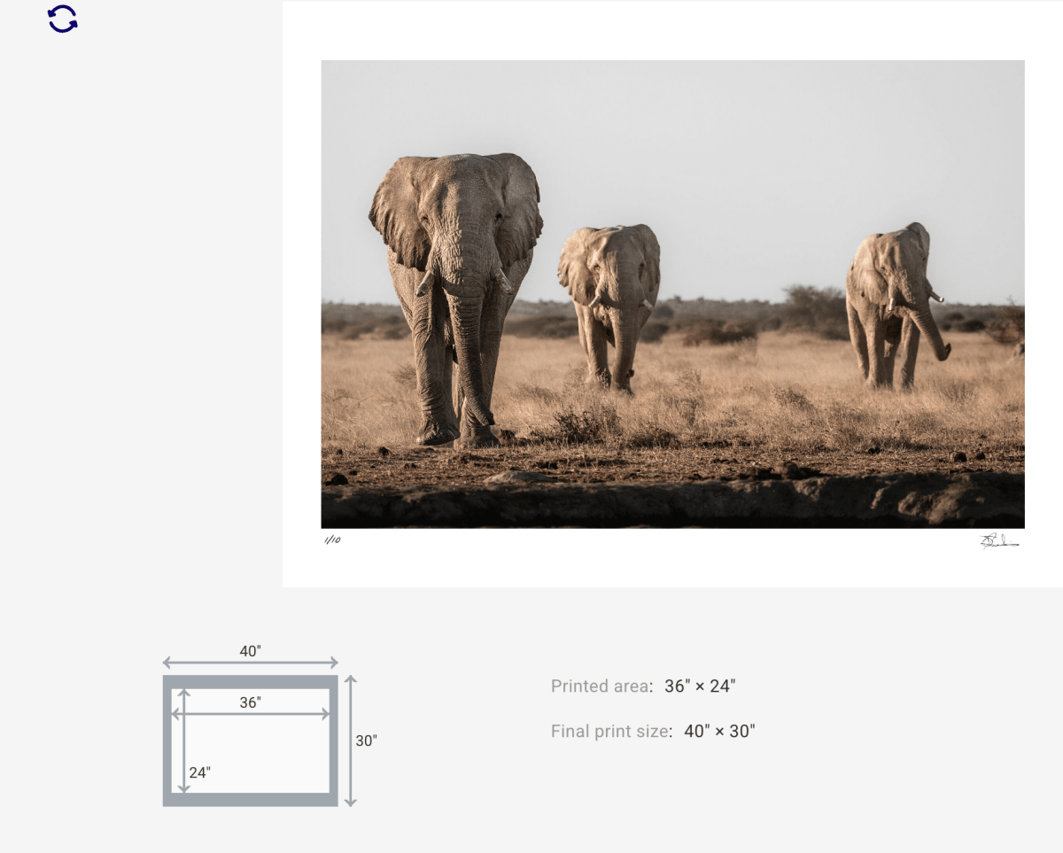 Three Kings — Elephant Fine Art Print | Nxai Pan, Botswana