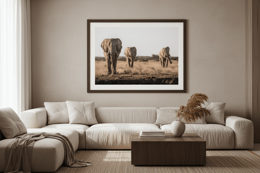 Three Kings — Elephant Fine Art Print | Nxai Pan, Botswana