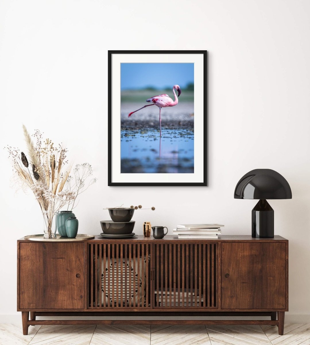 Lesser flamingo in standing posture on the makgadikgadi Salt Pans