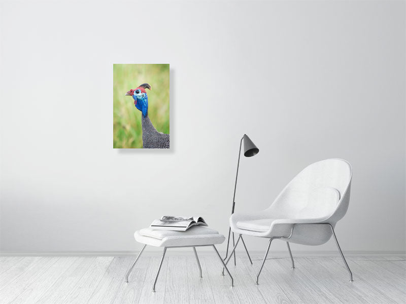 COLOURFUL FOWL - wildlife wall art print for home decor