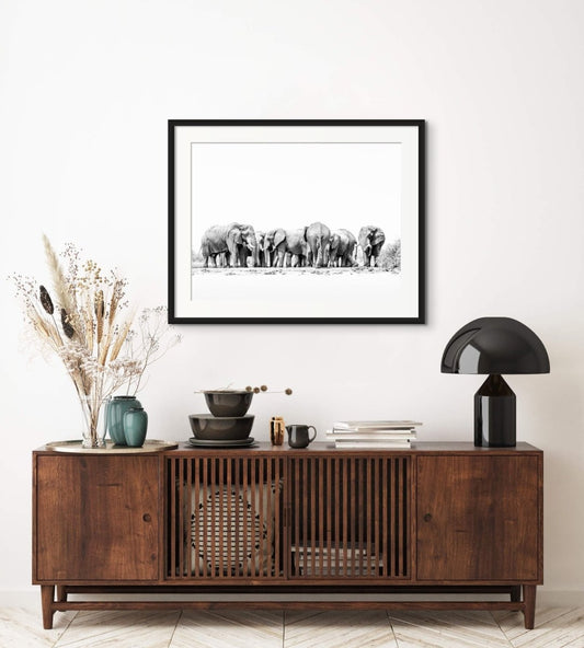 ORGANISED CHAOS - Fine Art Print - Limited edition - Wall art - African Wildlife Photography