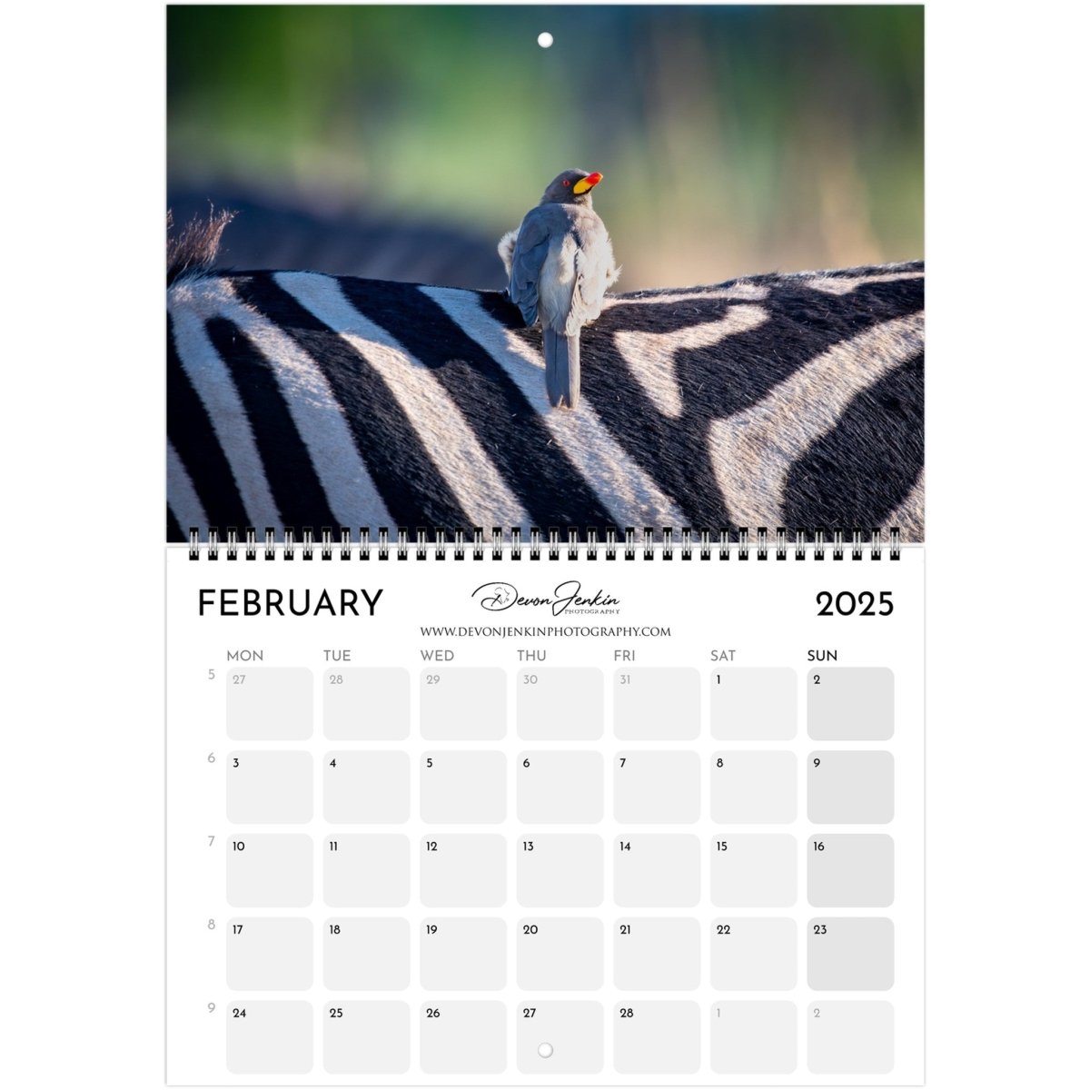 2025 Conservation Calendar