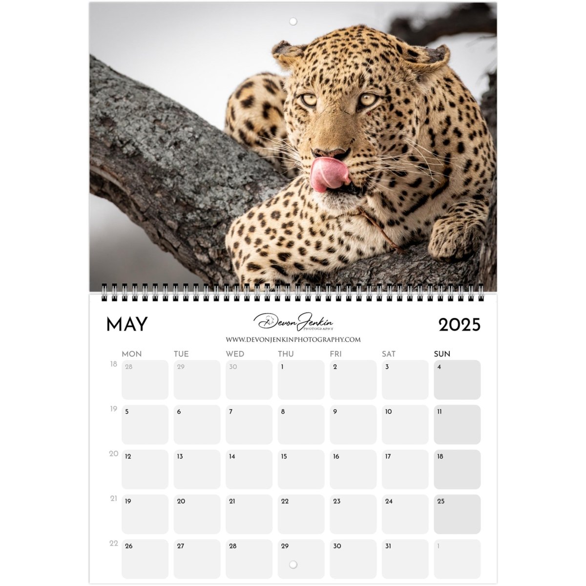 2025 Conservation Calendar