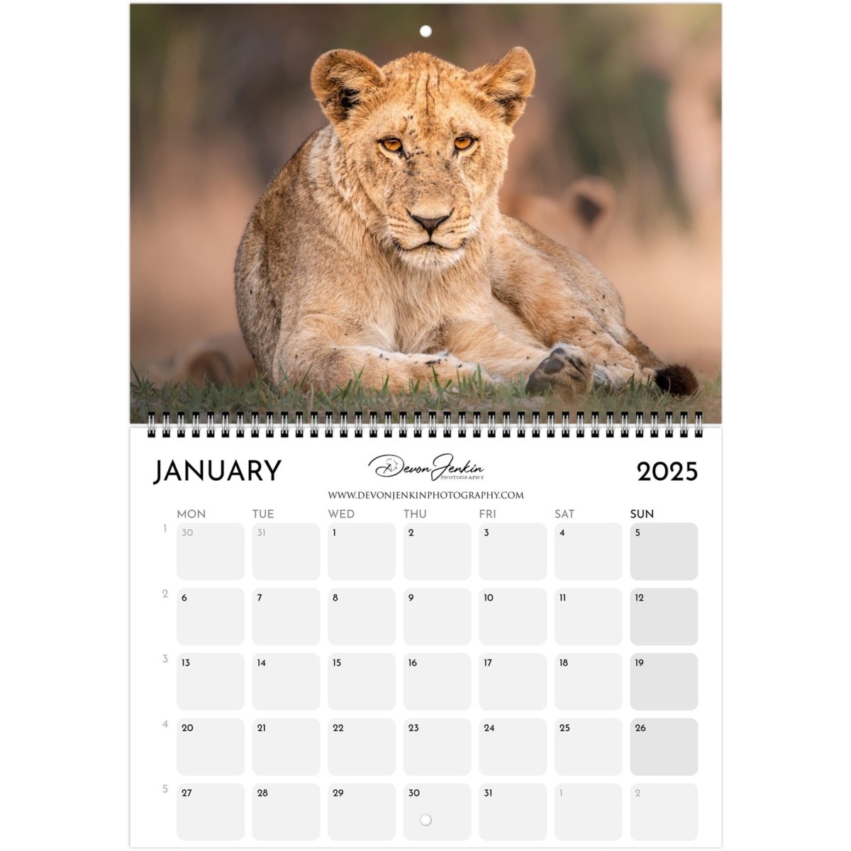 2025 Conservation Calendar