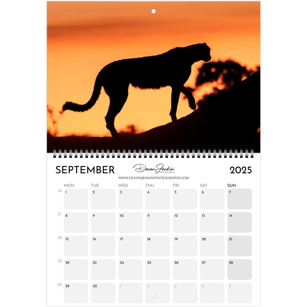 2025 Conservation Calendar