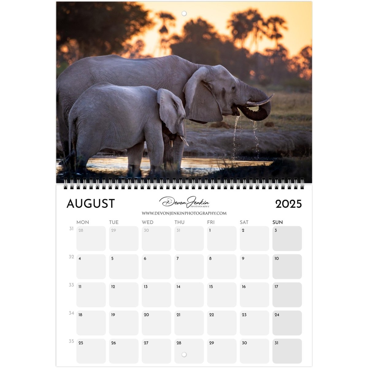 2025 Conservation Calendar