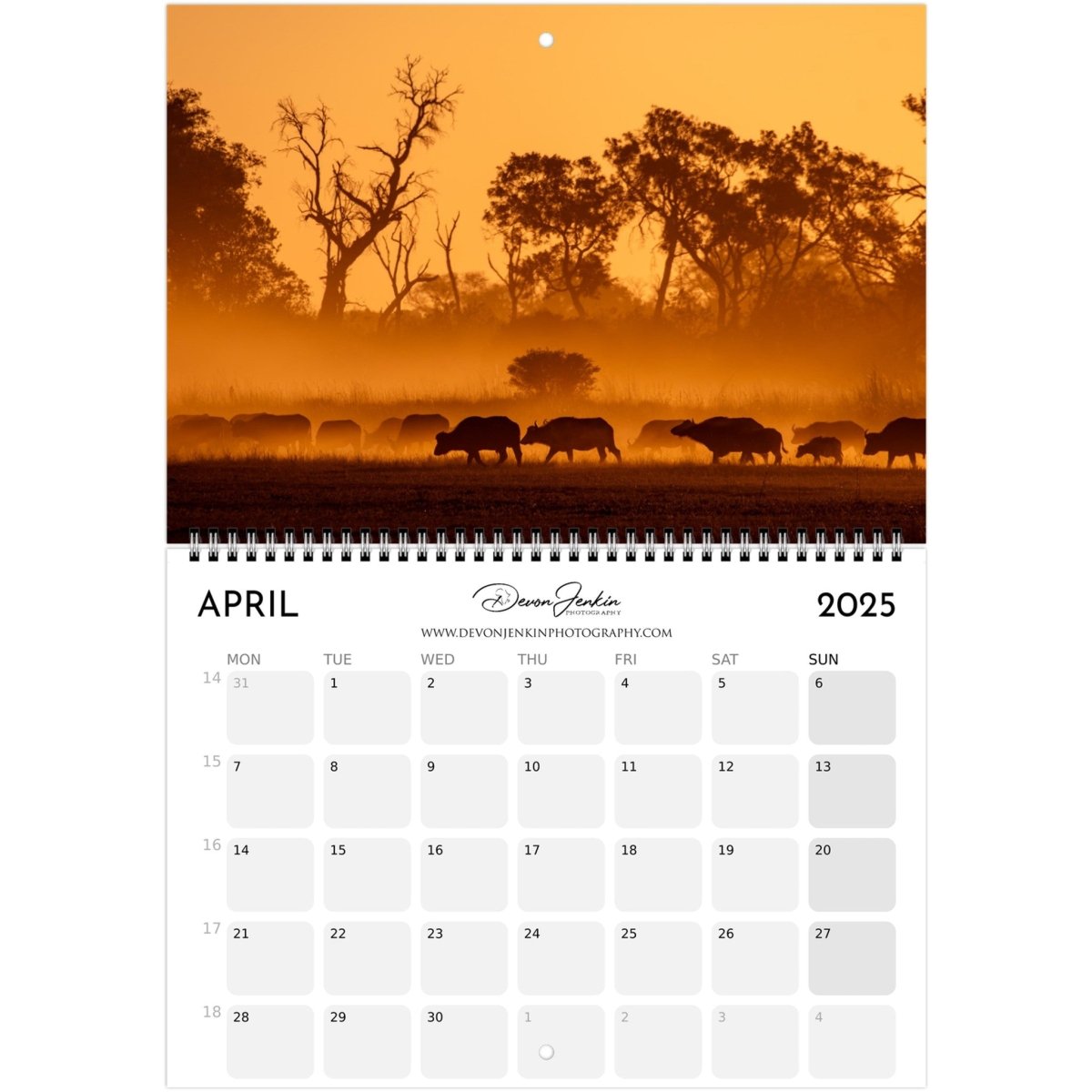 2025 Conservation Calendar