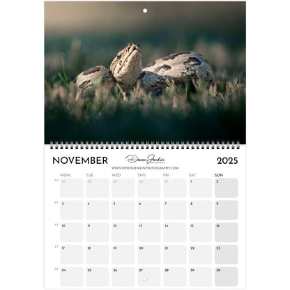 2025 Conservation Calendar