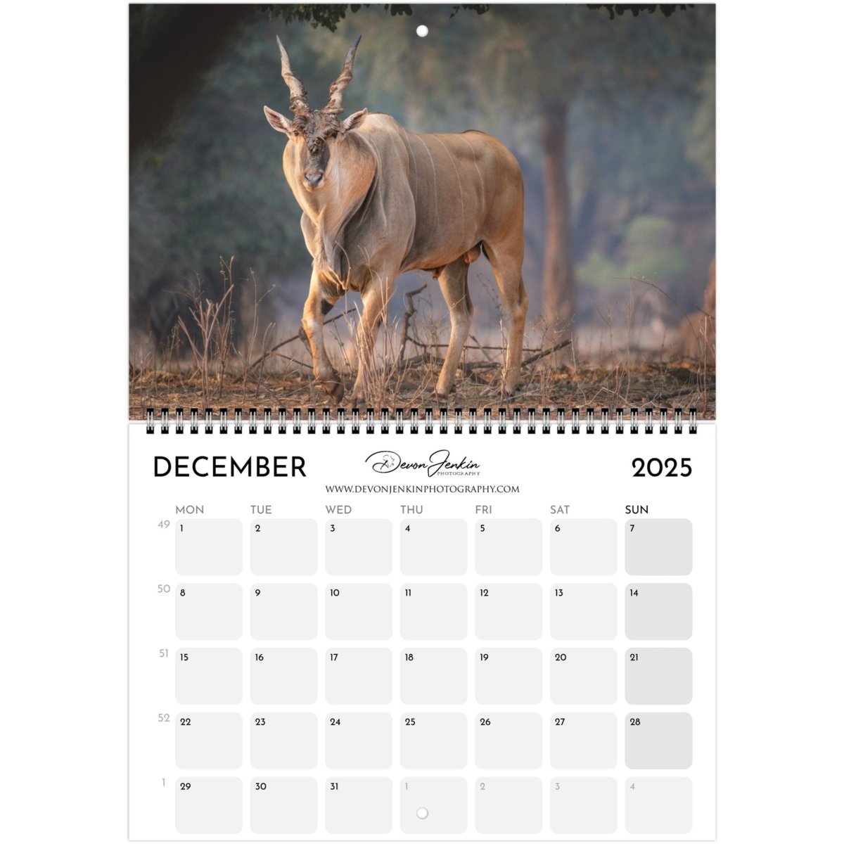 2025 Conservation Calendar