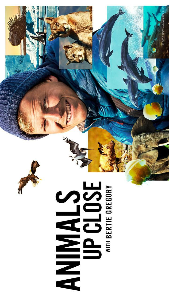 Promotional image for 'Animals Up Close with Bertie Gregory' featuring a person in outdoor gear surrounded by animal images.