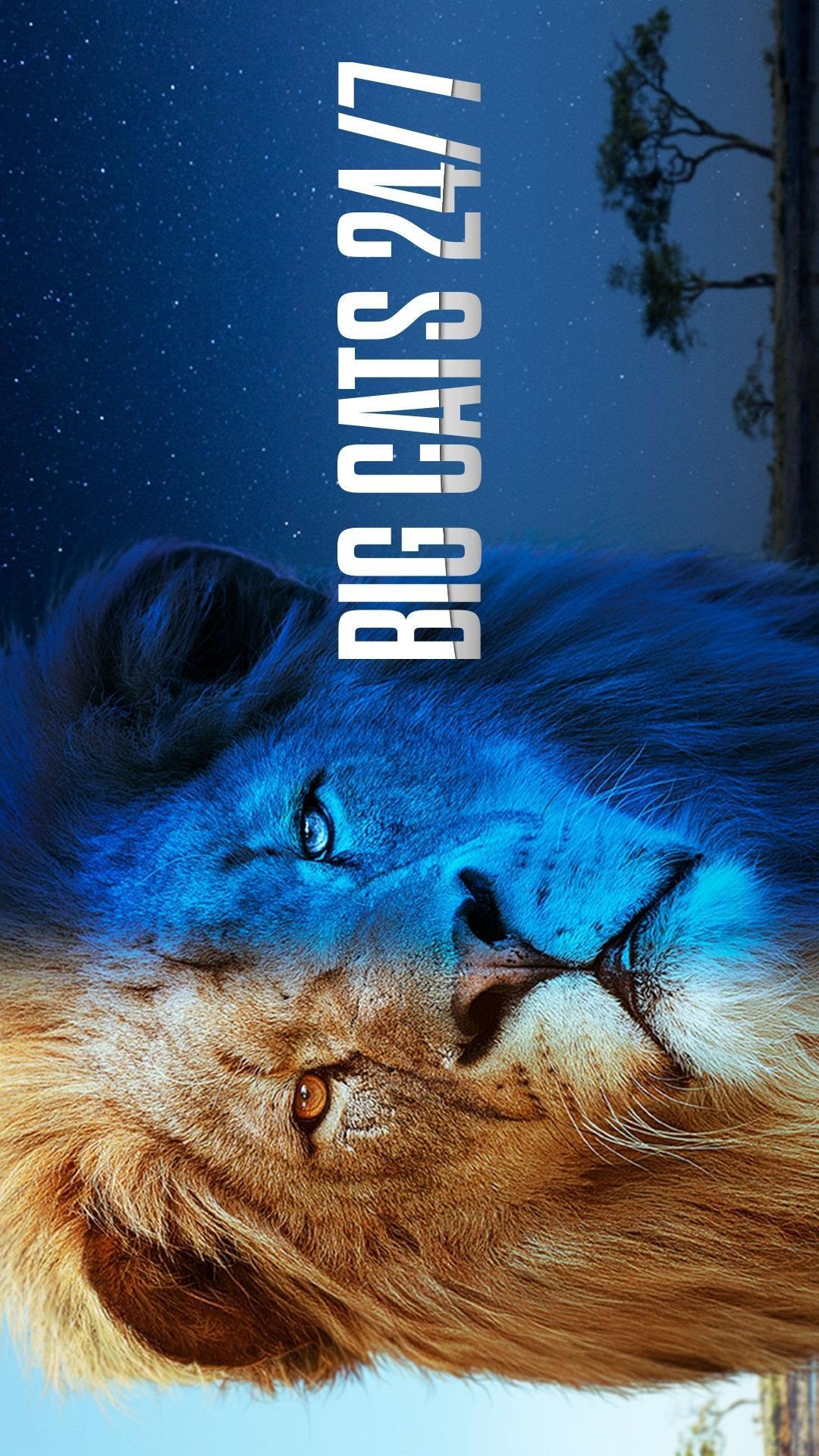 Two faces of a lion, one brown and one blue, with 'BIG CATS 24/7' text on a starry night background.