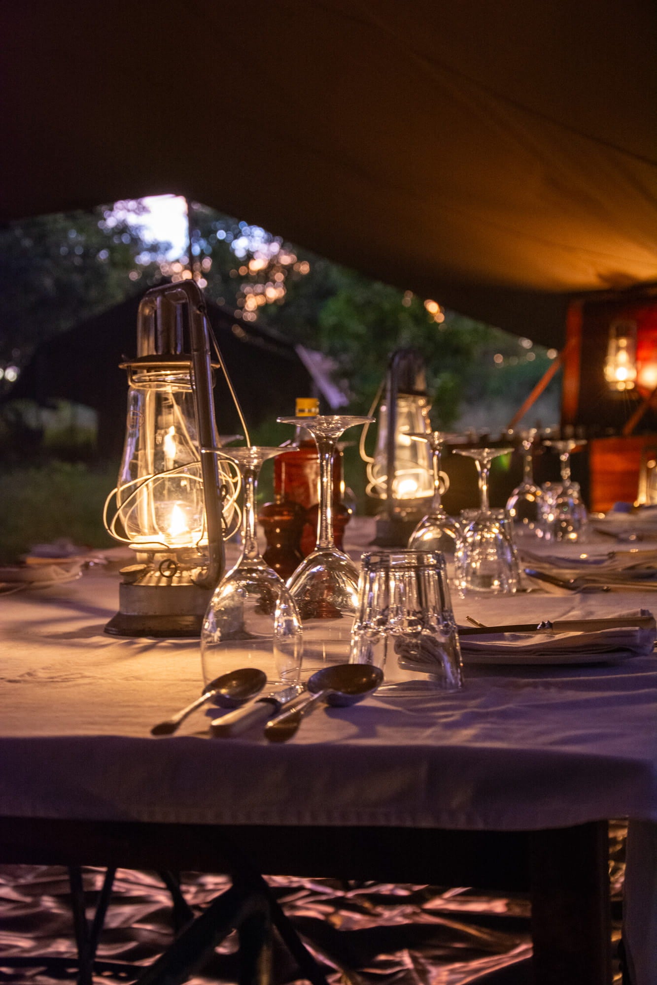 Dineer table set up with wine glasses and lanterns on safari