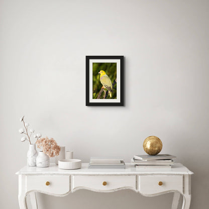 PIGEON JEWELS-Wildlife wall art print for home decor