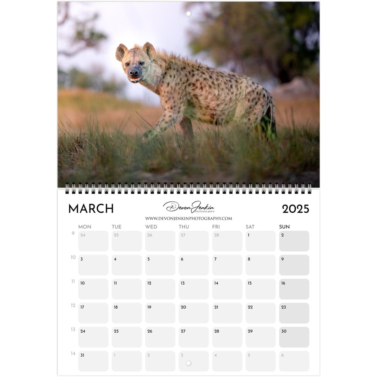 2025 Conservation Calendar