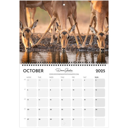 2025 Conservation Calendar