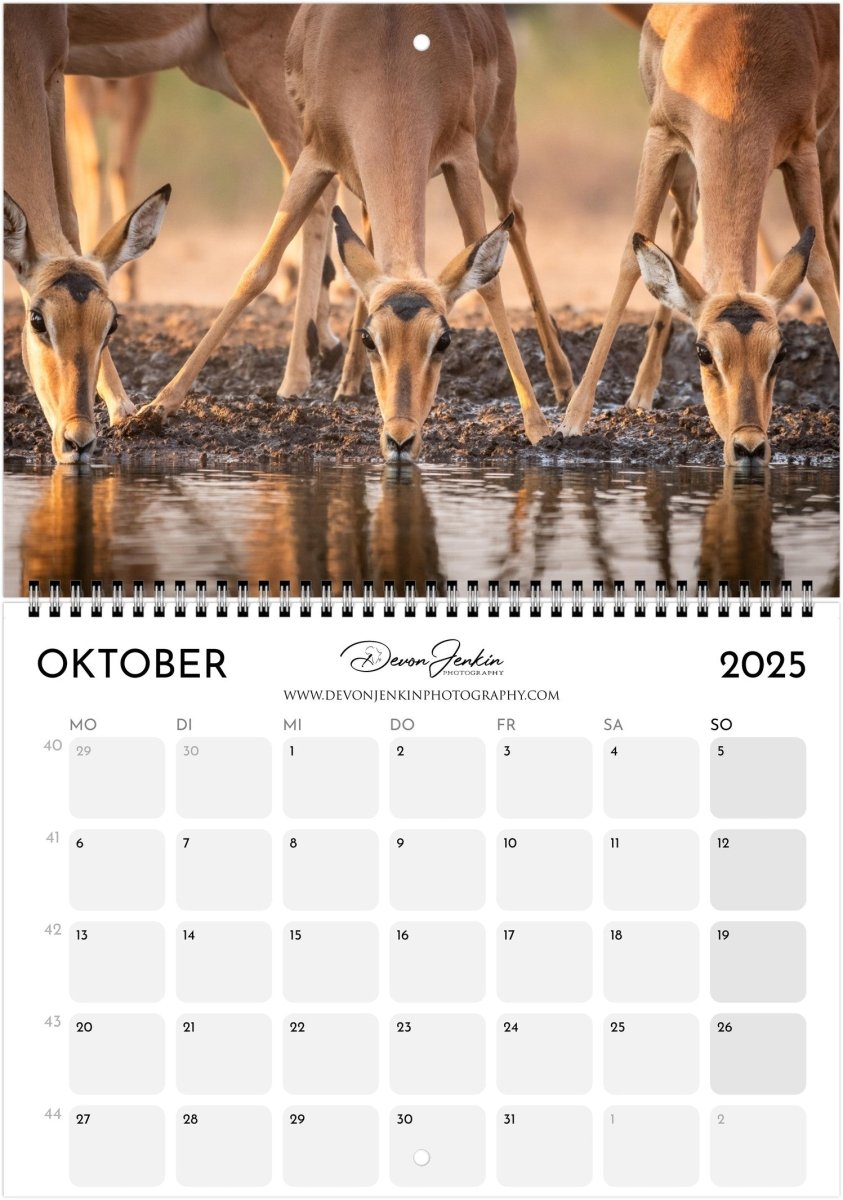 2025 Conservation Calendar