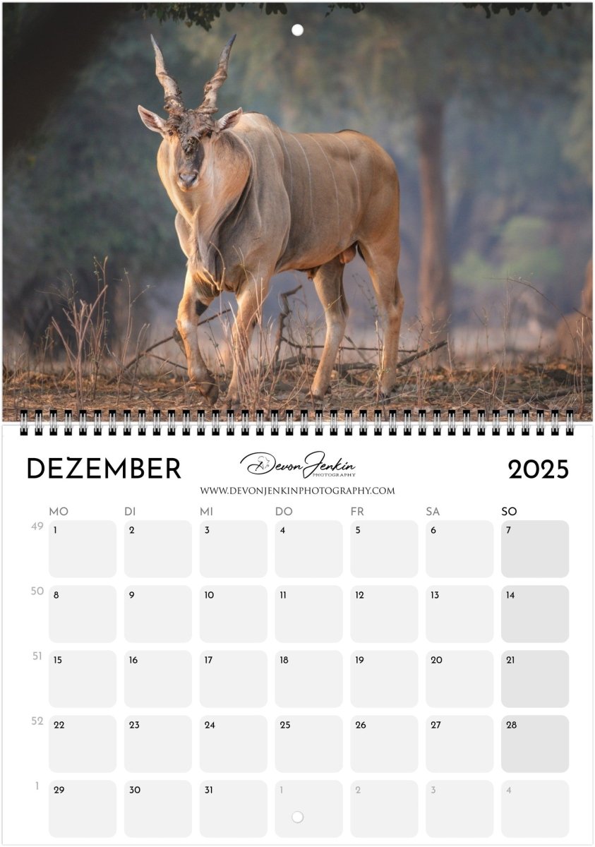 2025 Conservation Calendar