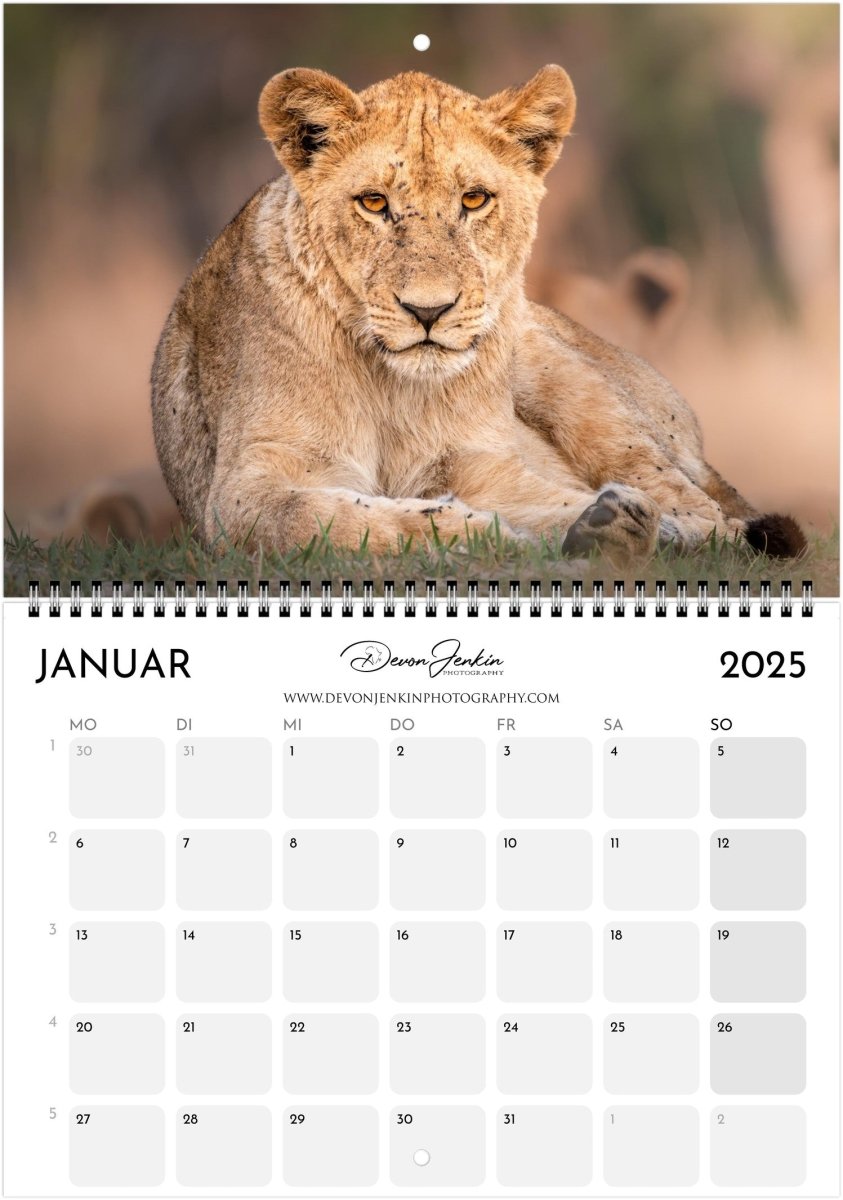 2025 Conservation Calendar