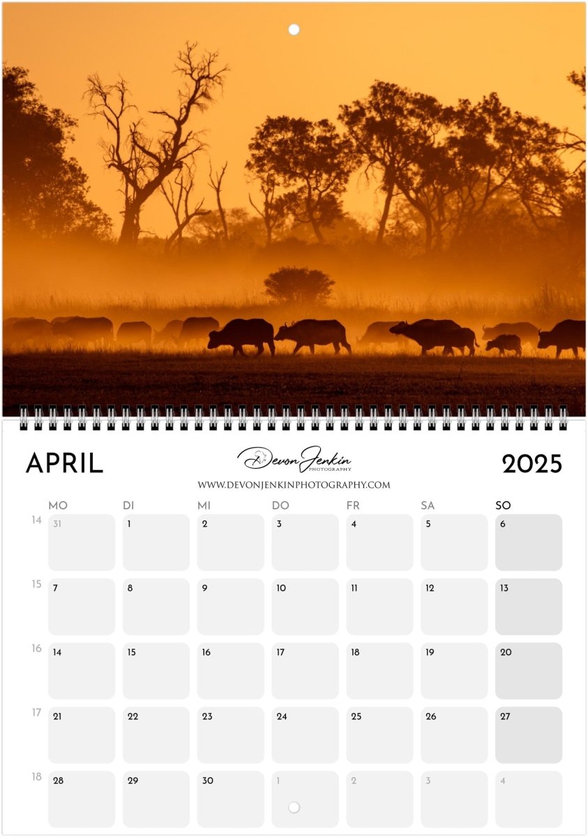 2025 Conservation Calendar