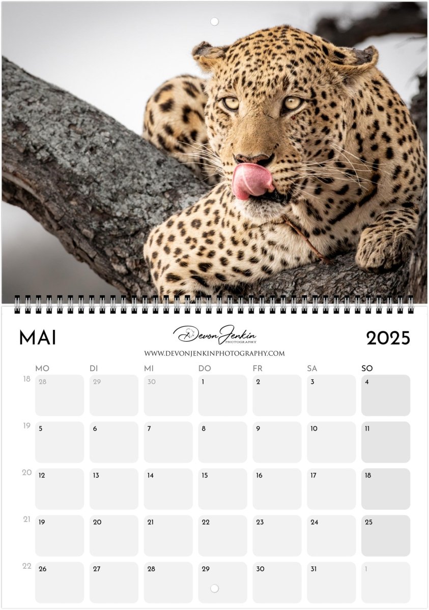 2025 Conservation Calendar