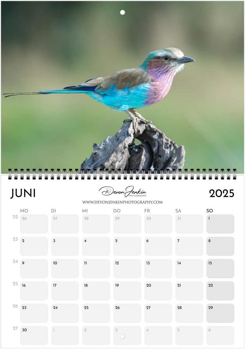 2025 Conservation Calendar