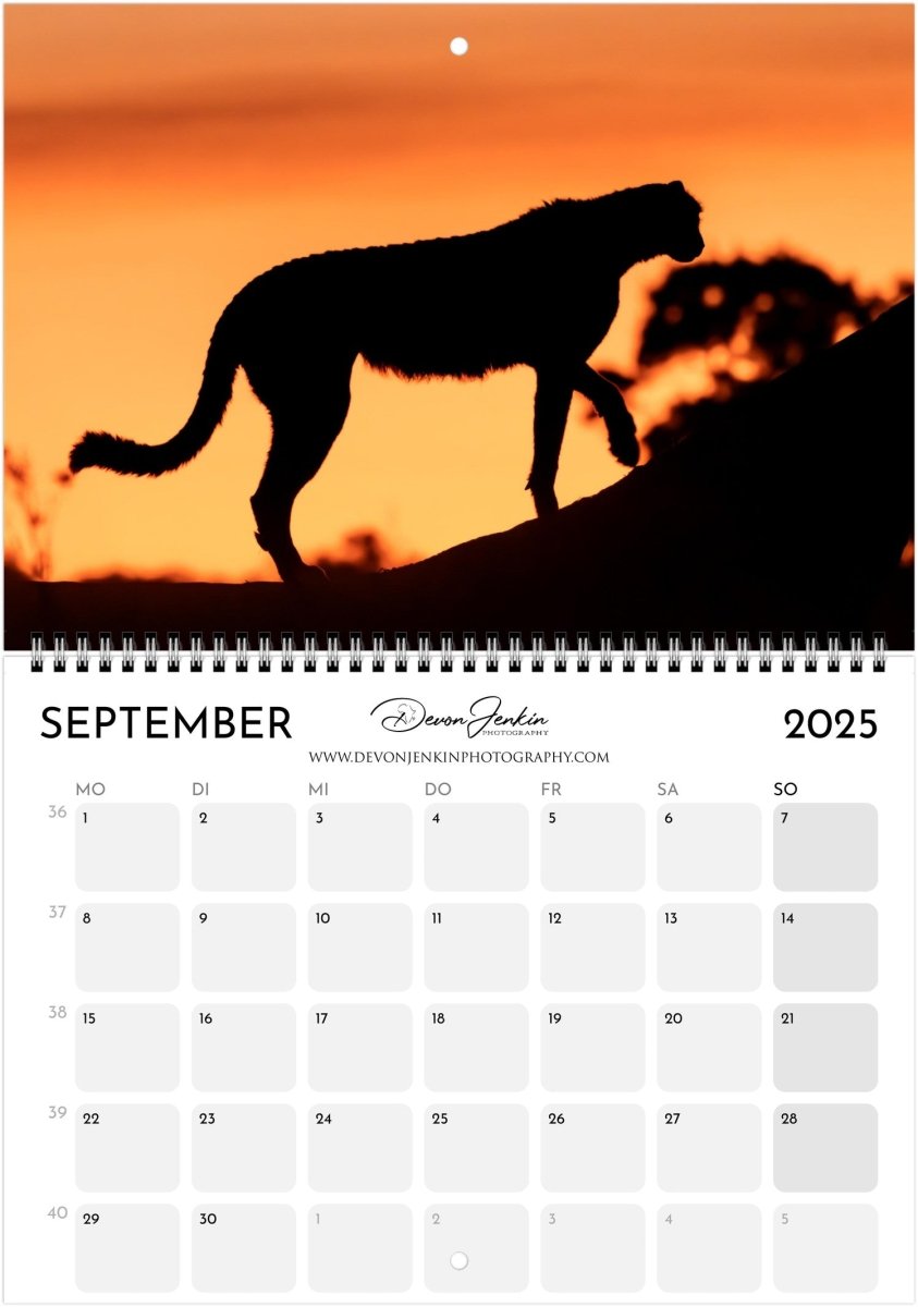 2025 Conservation Calendar