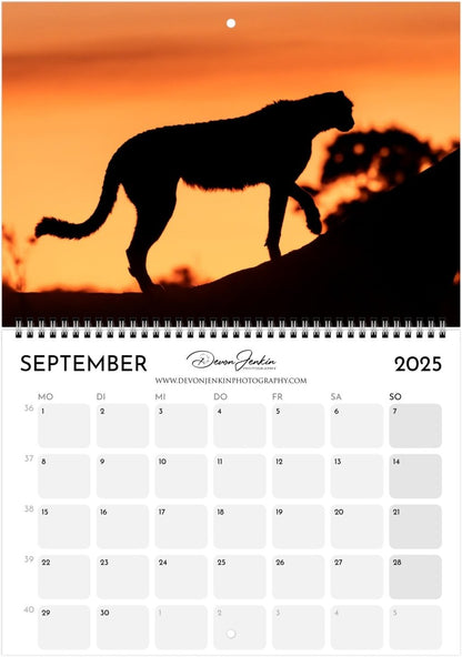 2025 Conservation Calendar