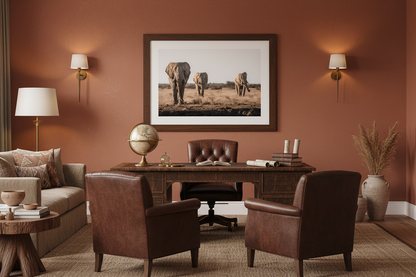 Safari travel consultancy office