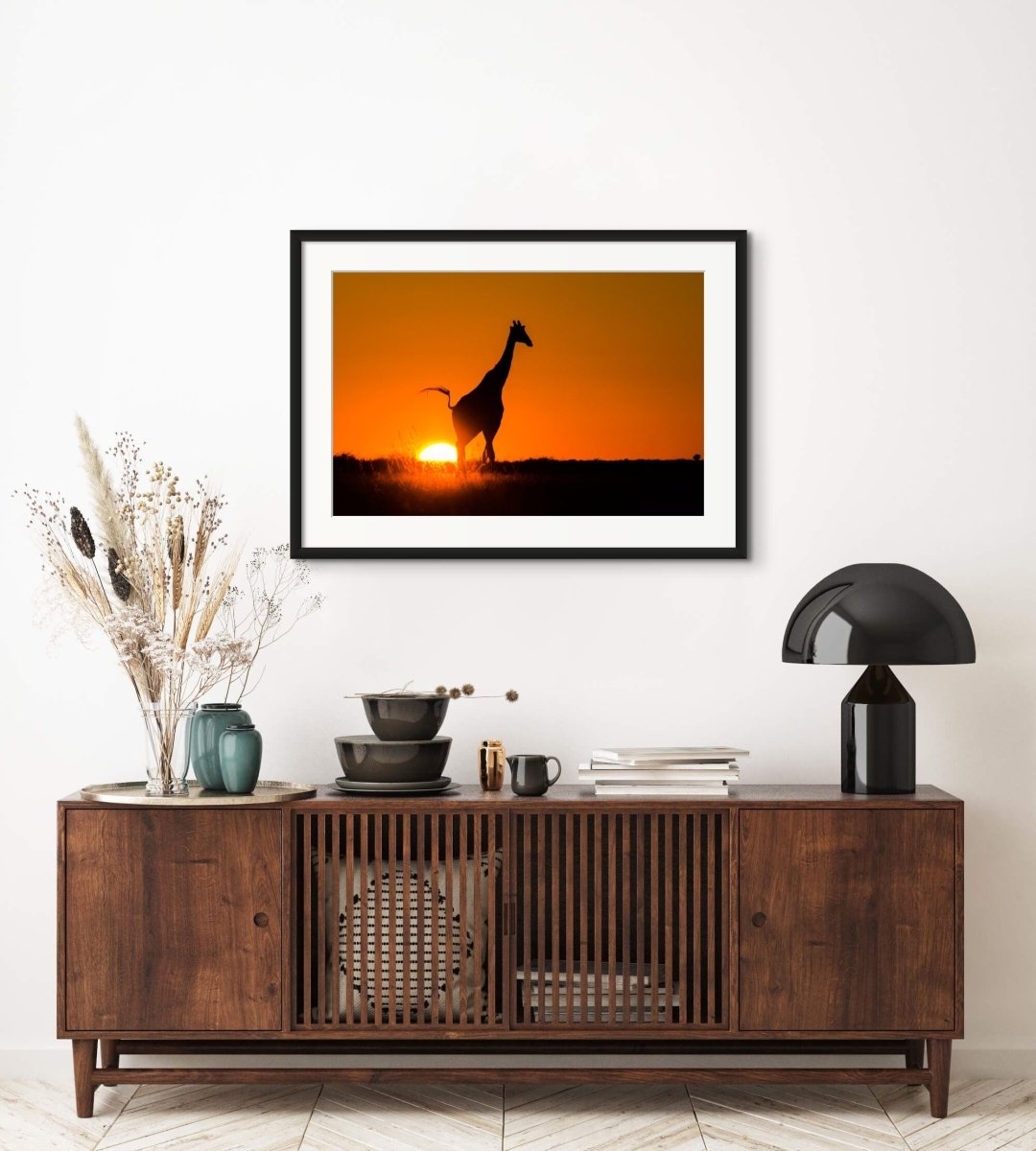 African wildlife wall art print for home decor of a giraffe silhouetted by the setting sun 36 x 24