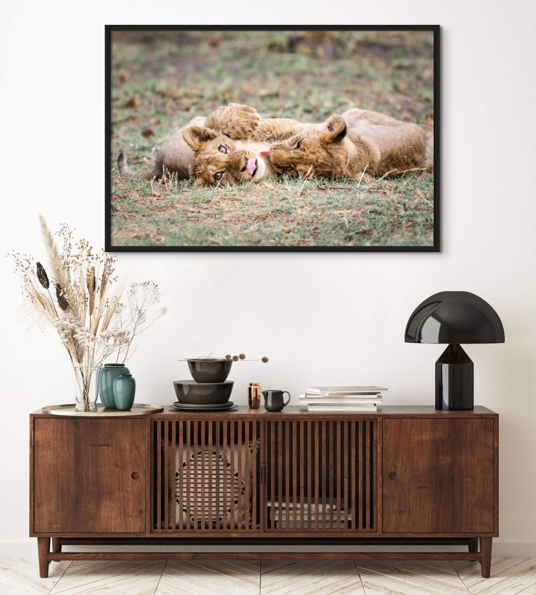 African wildlife wall art print of two lion cubs playing 60 x 40