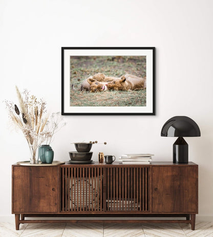 African wildlife wall art print of two lion cubs playing 36 x 24