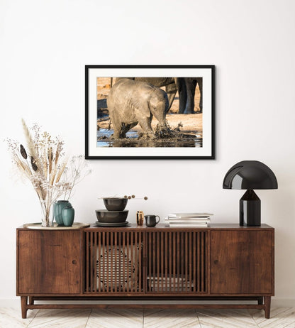 BATHTIME - Fine Art Print - Limited edition - Wall art - African Wildlife Photography