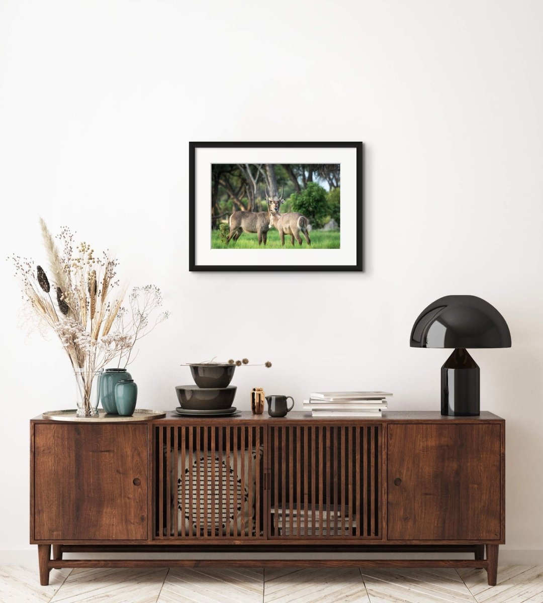 BROTHERHOOD - Fine Art Print - Limited edition - Wall art - African Wildlife Photography