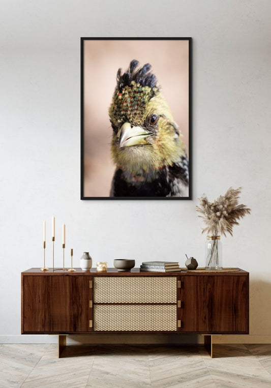 CRESTED CLOSE UP- Fine Art Print - Limited edition - Wall art - African Wildlife Photography