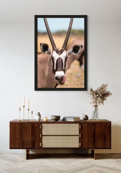 DESERT ADAPTATIONS - Fine Art Print - Limited edition - Wall art - African Wildlife Photography