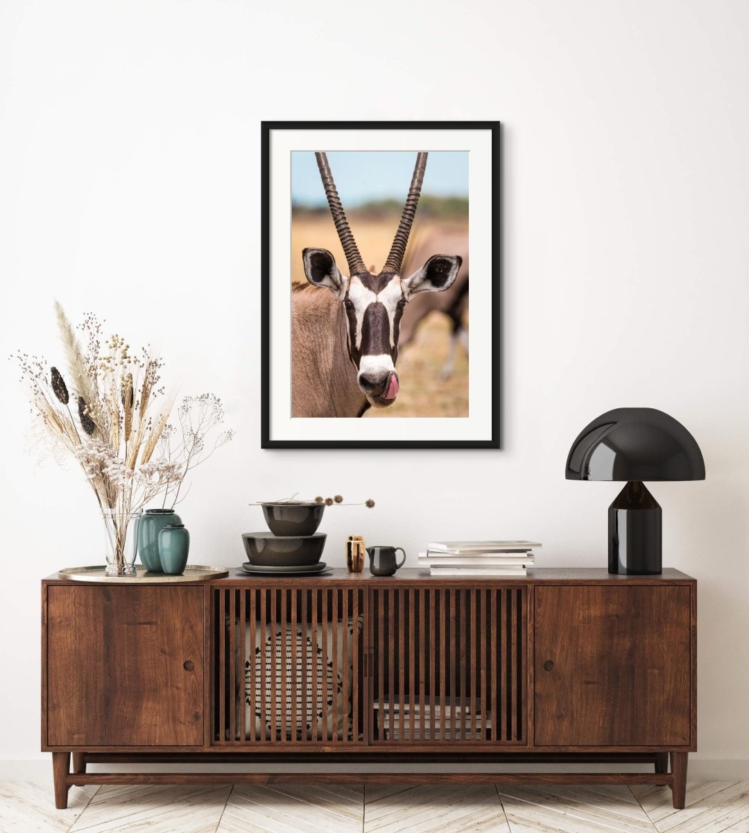 DESERT ADAPTATIONS - Fine Art Print - Limited edition - Wall art - African Wildlife Photography