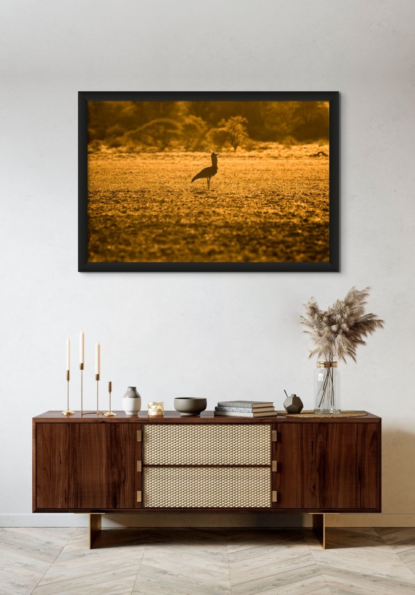 GOLDEN BUSTARD - Fine Art Print - Limited edition - Wall art - African Wildlife Photography