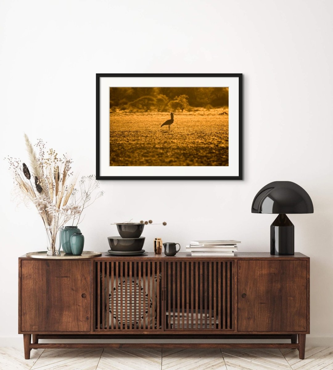 GOLDEN BUSTARD - Fine Art Print - Limited edition - Wall art - African Wildlife Photography