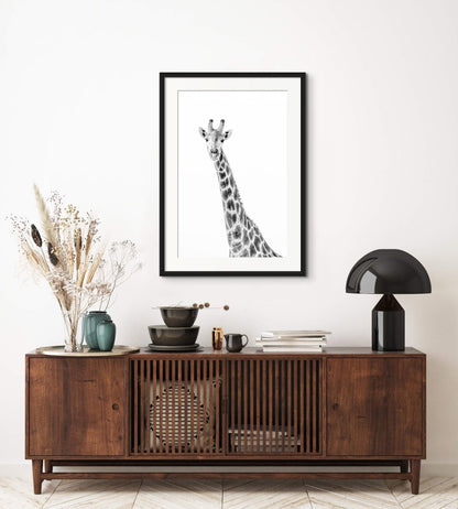 GRACIOUS CURIOSITY - Fine Art Print - Limited edition - Wall art - African Wildlife Photography