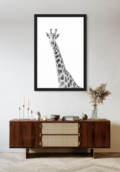 GRACIOUS CURIOSITY - Fine Art Print - Limited edition - Wall art - African Wildlife Photography