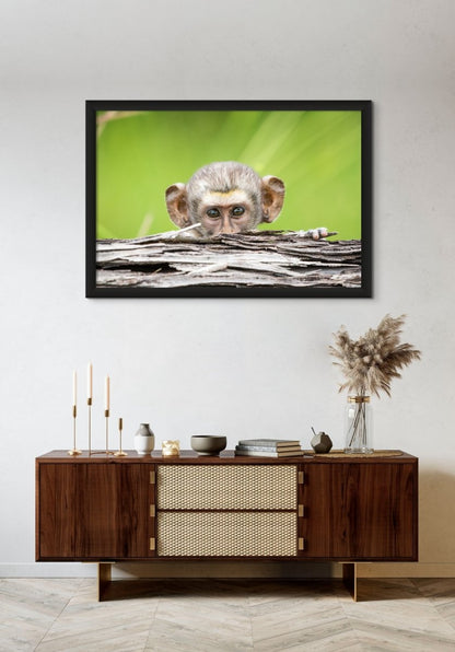 HIDE-AND-SEEK - Fine Art Print - Limited edition - Wall art - African Wildlife Photography