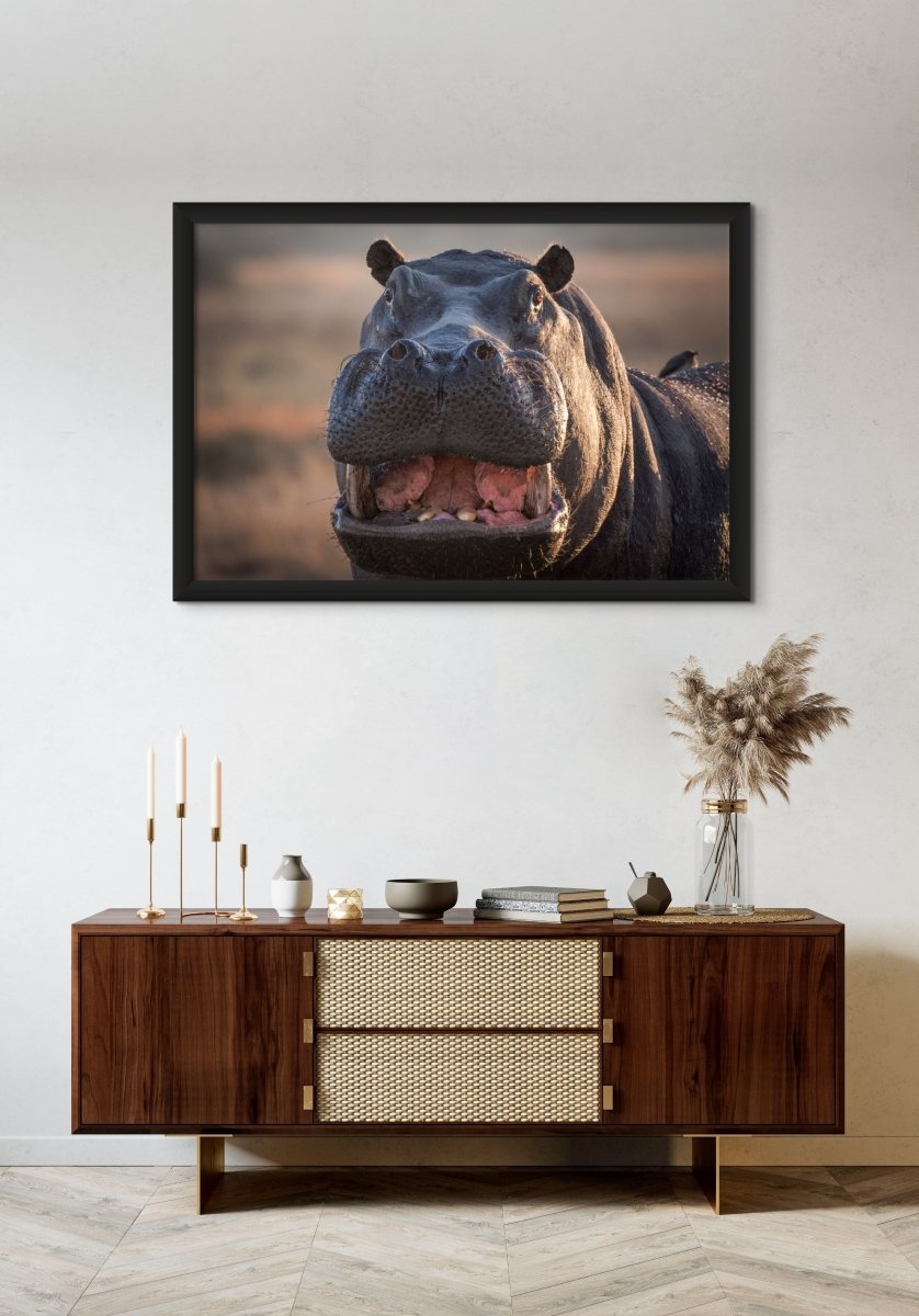 INTENSITY - Fine Art Print - Limited edition - Wall art - African Wildlife Photography