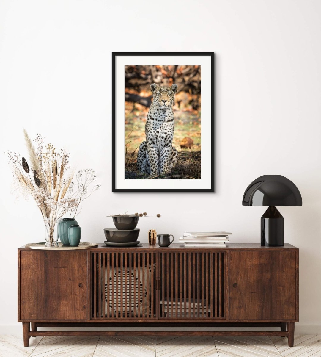 JUDGEMENT - Fine Art Print - Limited edition - Wall art - African Wildlife Photography