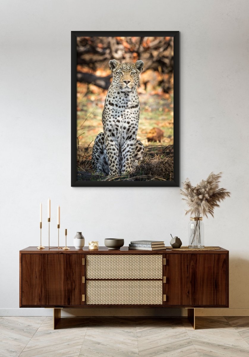 JUDGEMENT - Fine Art Print - Limited edition - Wall art - African Wildlife Photography