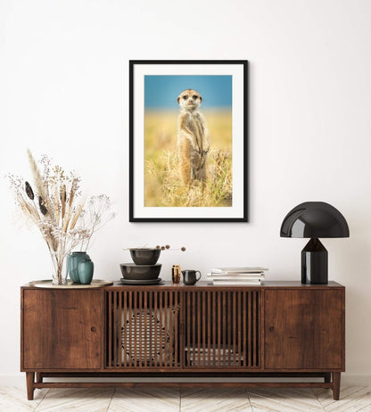 JUNIOR SCOUT - Fine Art Print - Limited edition - Wall art - African Wildlife Photography