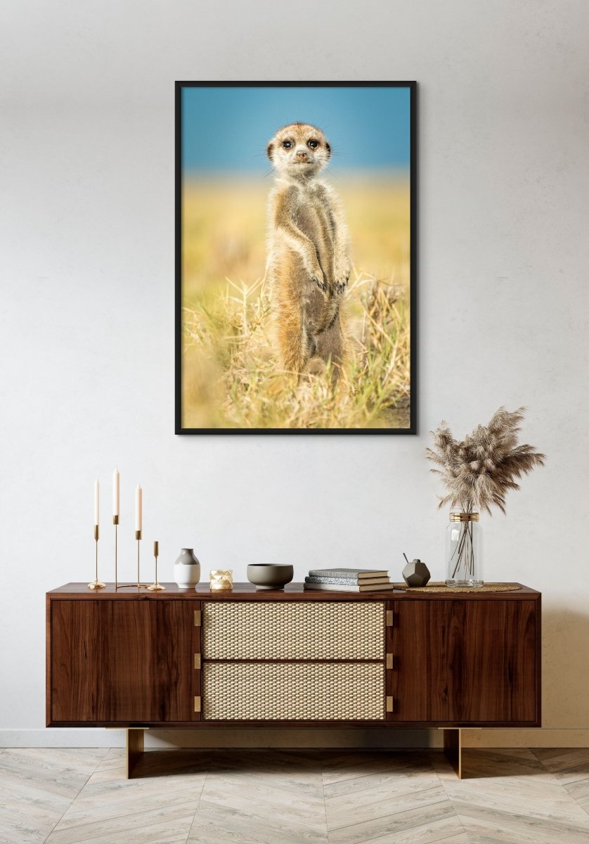 JUNIOR SCOUT - Fine Art Print - Limited edition - Wall art - African Wildlife Photography