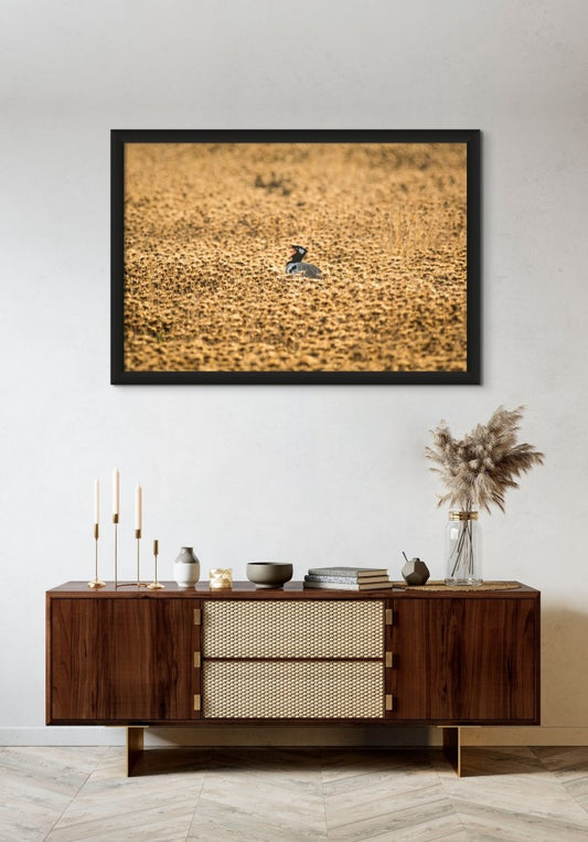 KALAHARI CRY - Fine Art Print - Limited edition - Wall art - African Wildlife Photography