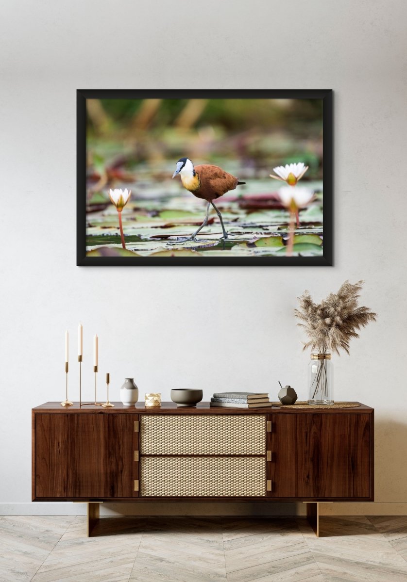 LILY TROTTER - Fine Art Print - Limited edition - Wall art - African Wildlife Photography