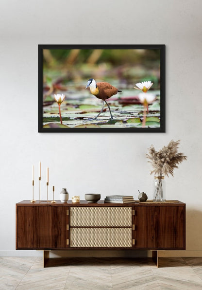 LILY TROTTER - Fine Art Print - Limited edition - Wall art - African Wildlife Photography